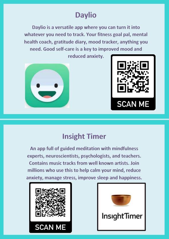 Daylio and Insight Timer QR Codes